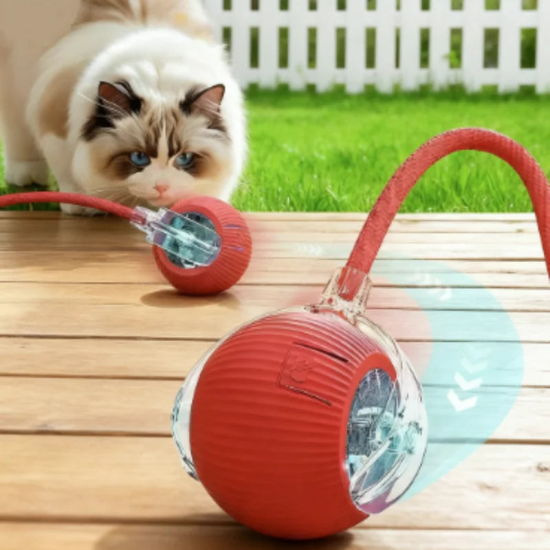 Pawa Smart Interactive Cat/Dog Ball Toy