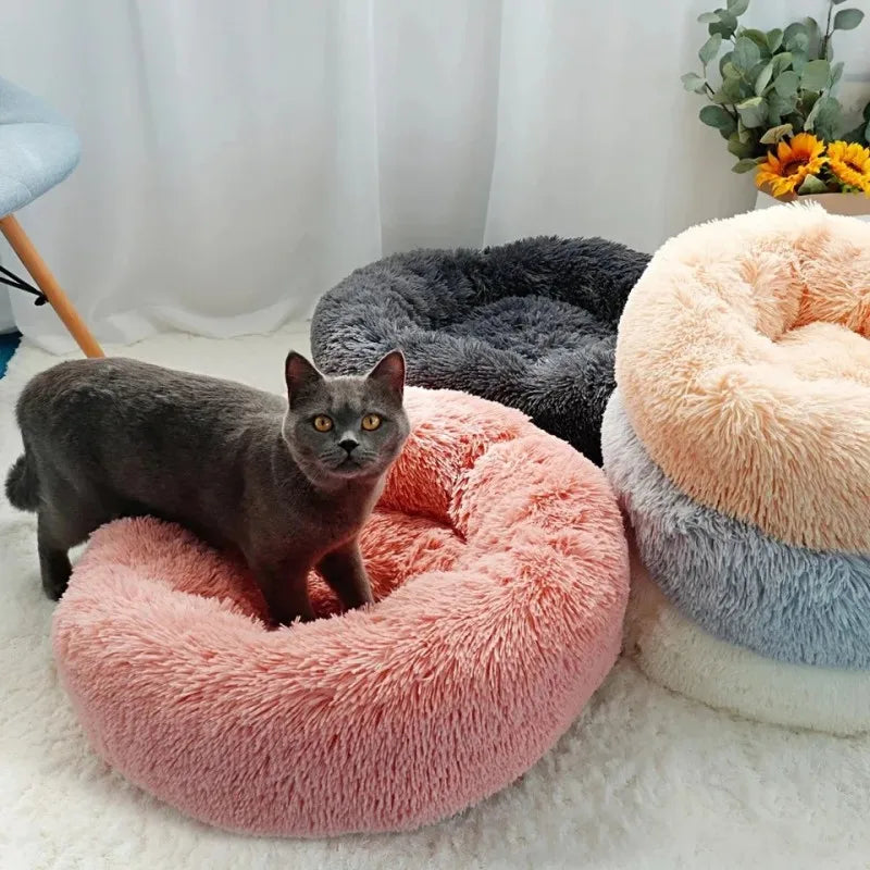 Pawa Calming Cloud Bed